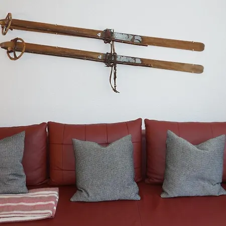 Apartament Alpine Nest Crans-montana *