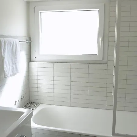 Alpine Nest Crans-montana * Lens