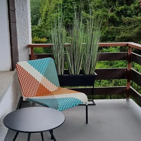 Apartament Alpine Nest Crans-montana *