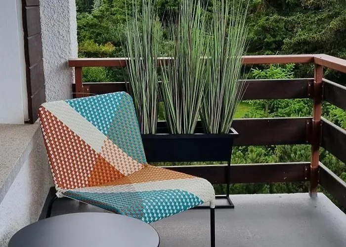 Апартаменты Alpine Nest Crans-montana *